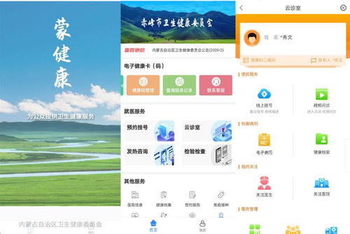 榜樣的力量 內(nèi)蒙古自治區(qū)互聯(lián)網(wǎng)醫(yī)療服務(wù)系統(tǒng)在新冠戰(zhàn)疫中的數(shù)據(jù)驅(qū)動(dòng)實(shí)踐